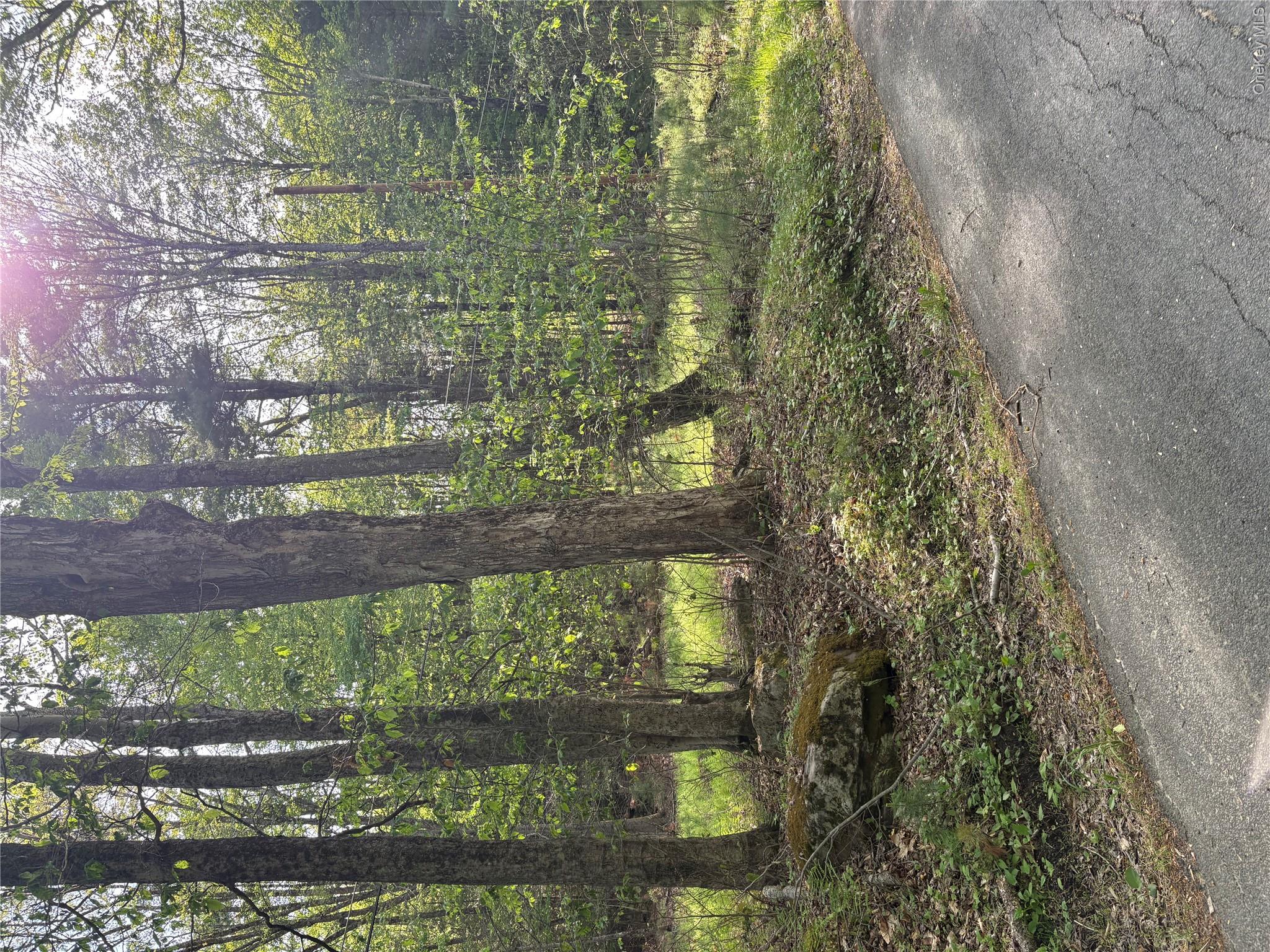 Lucks Road