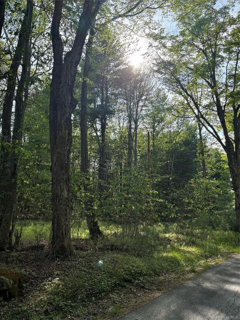 Vacant Land For Sale - Lucks Road<br/> Greenfield Park, NY 12435