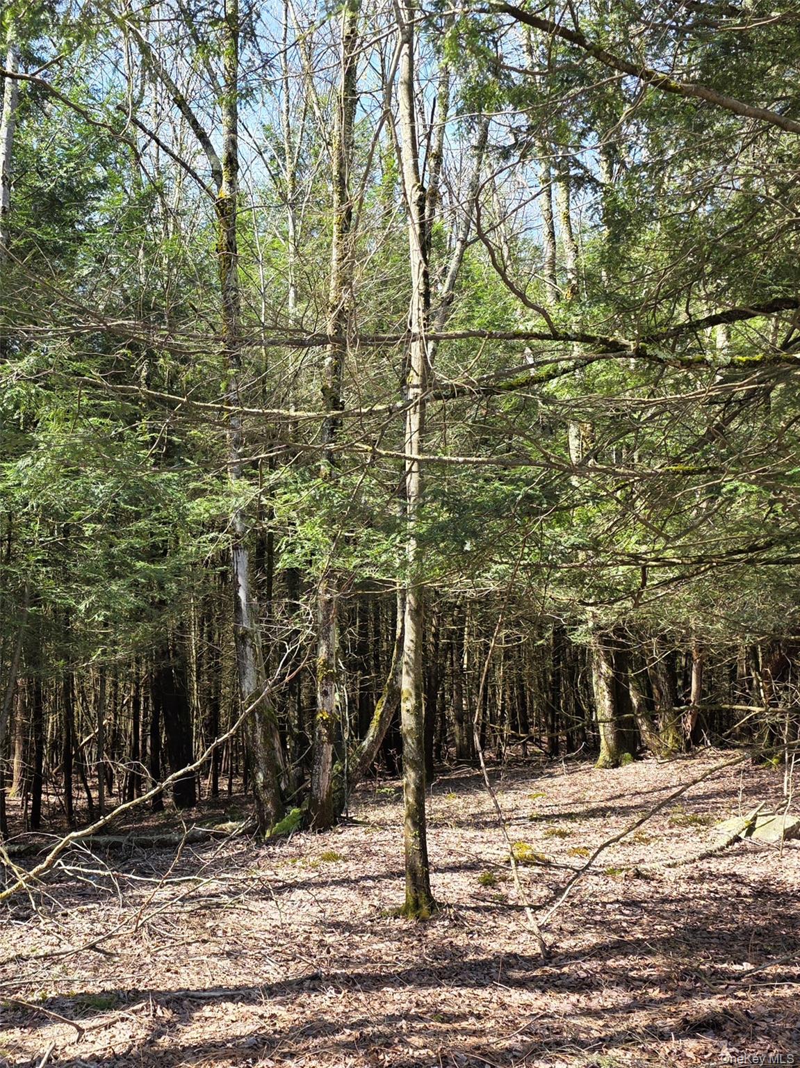 Highview Acres