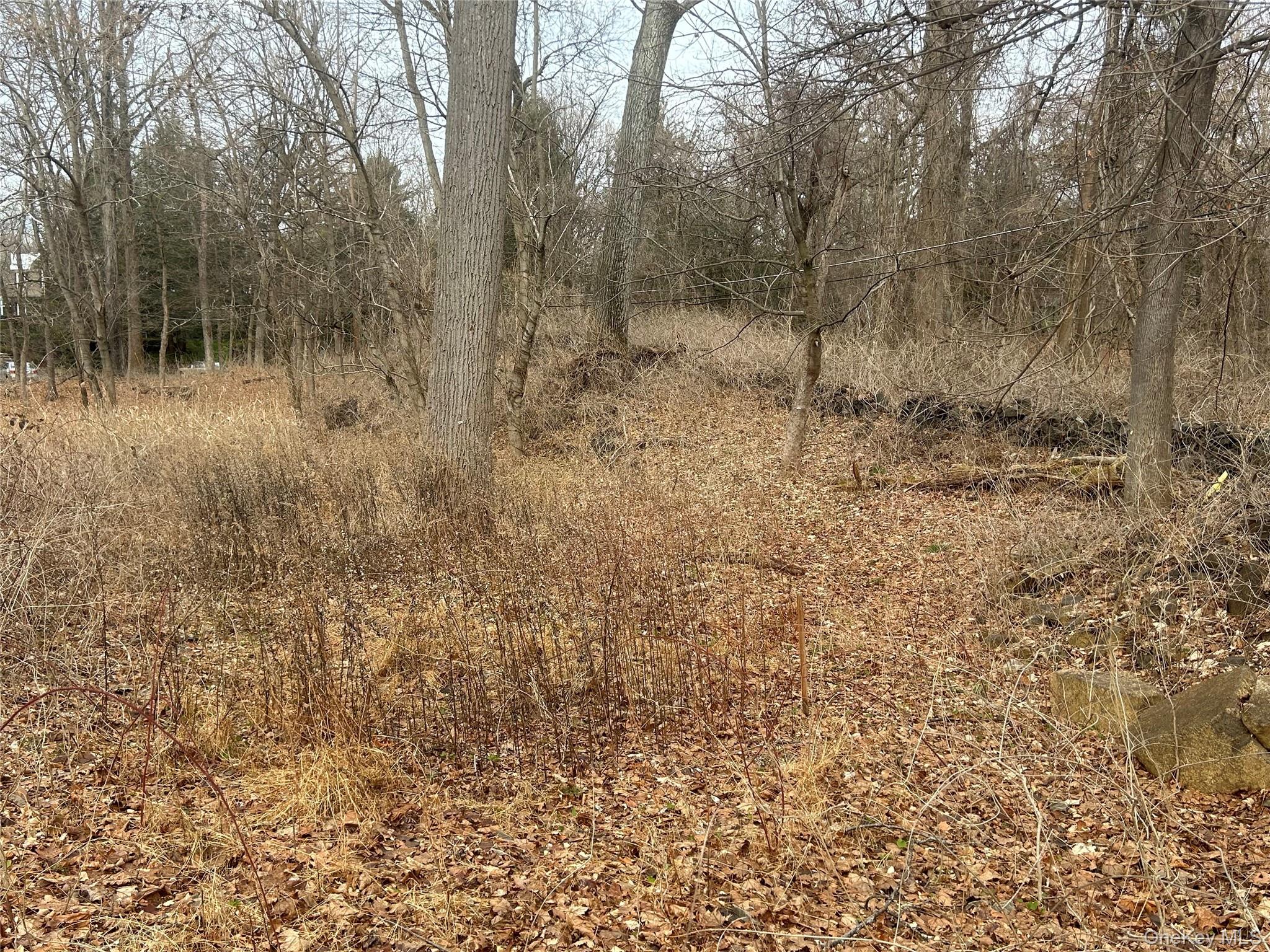 69 College Hill Road