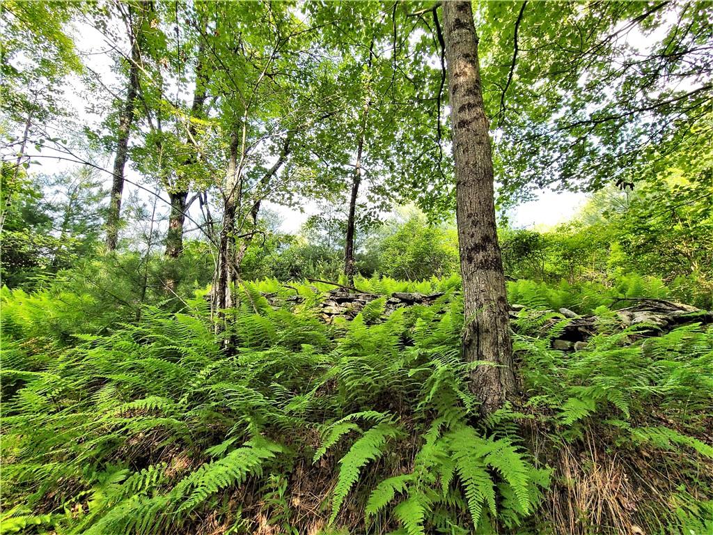 TBD Mitchel Road, White Lake, New York image 10