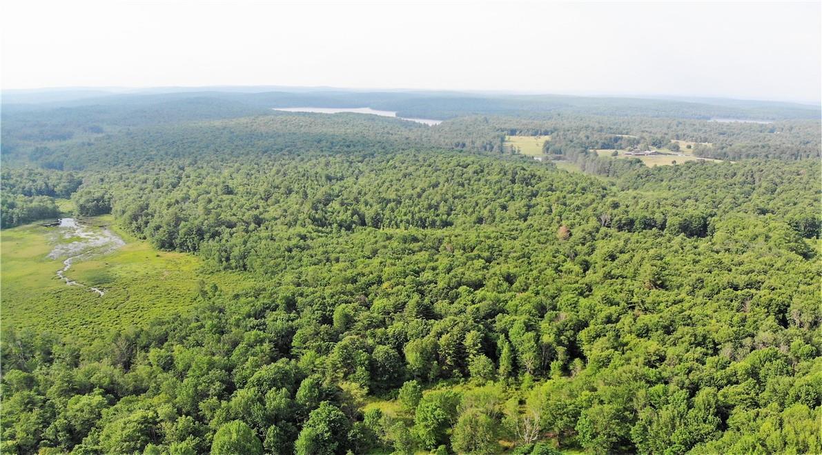 TBD Mitchel Road, White Lake, New York image 21