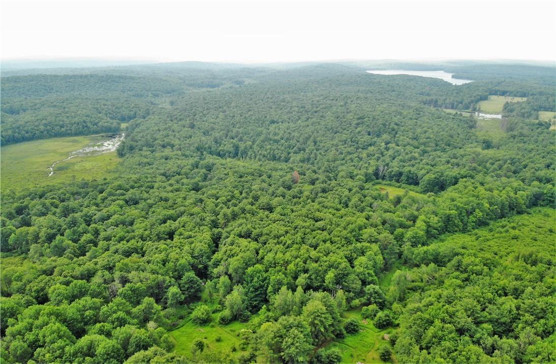 TBD Mitchel Road, White Lake, New York image 3