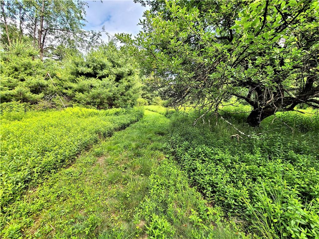 TBD Mitchel Road, White Lake, New York image 7