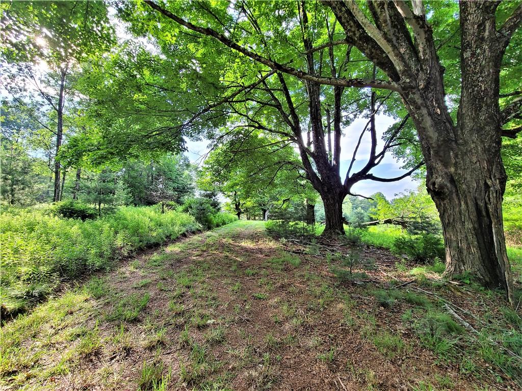 Mitchel Road, White Lake, New York -  - 