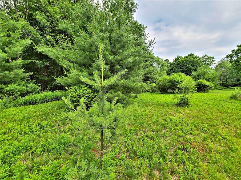 TBD Mitchel Road, White Lake, New York image 17
