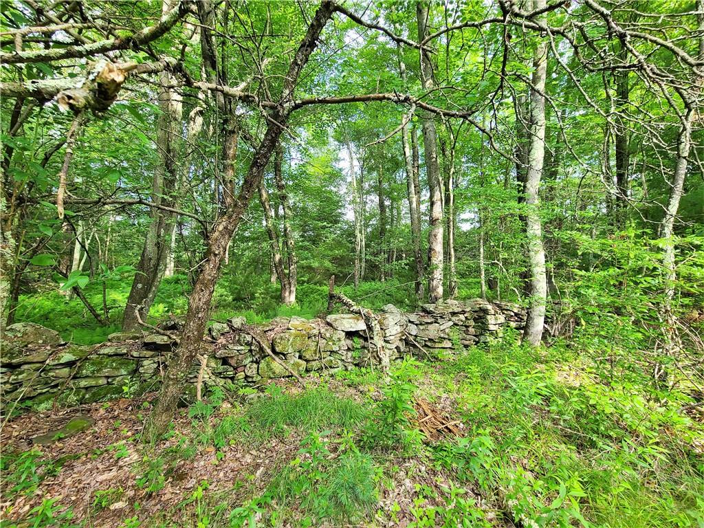 TBD Mitchel Road, White Lake, New York image 11