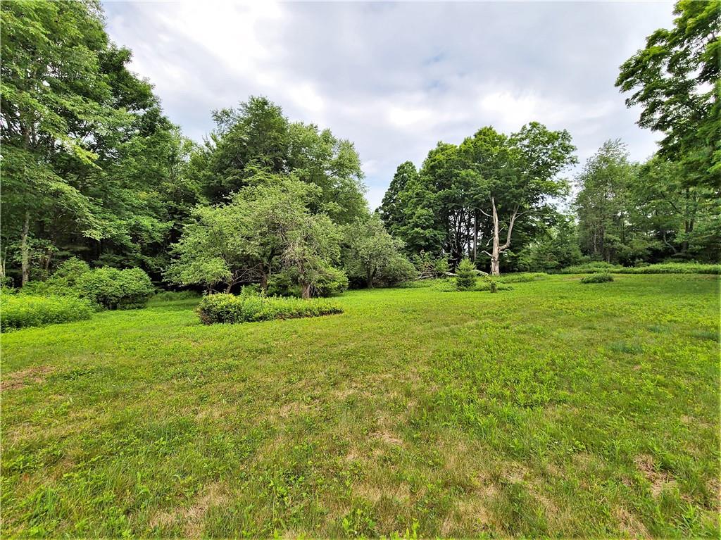 TBD Mitchel Road, White Lake, New York image 18