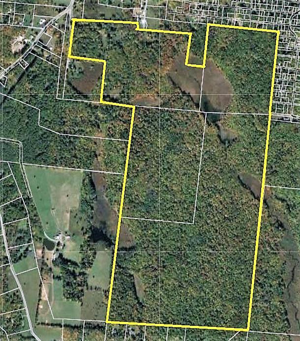 TBD Mitchel Road, White Lake, New York image 24