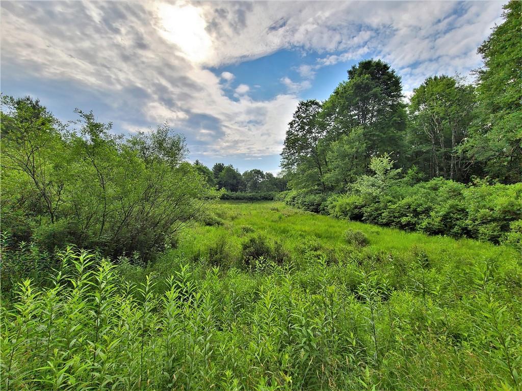 TBD Mitchel Road, White Lake, New York image 12