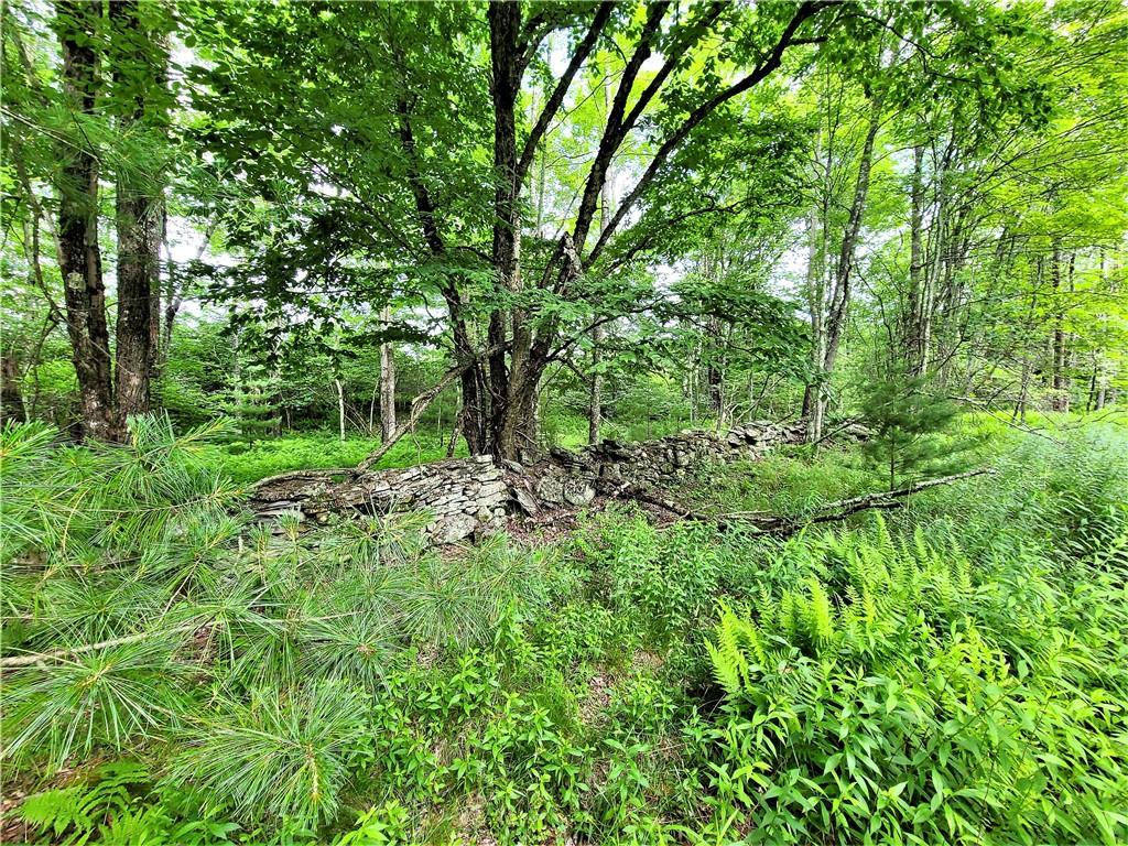 TBD Mitchel Road, White Lake, New York image 14