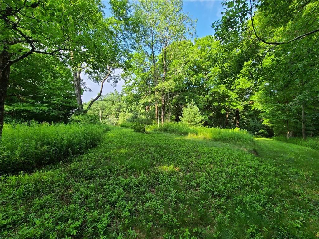 TBD Mitchel Road, White Lake, New York image 5