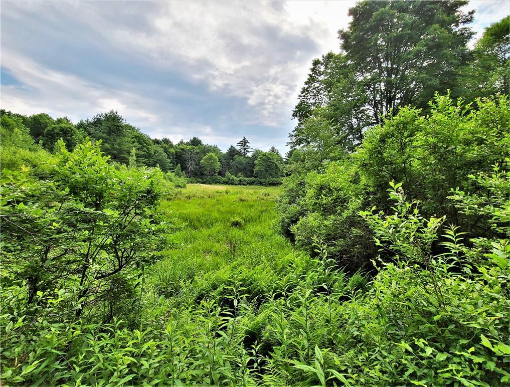 TBD Mitchel Road, White Lake, New York image 13