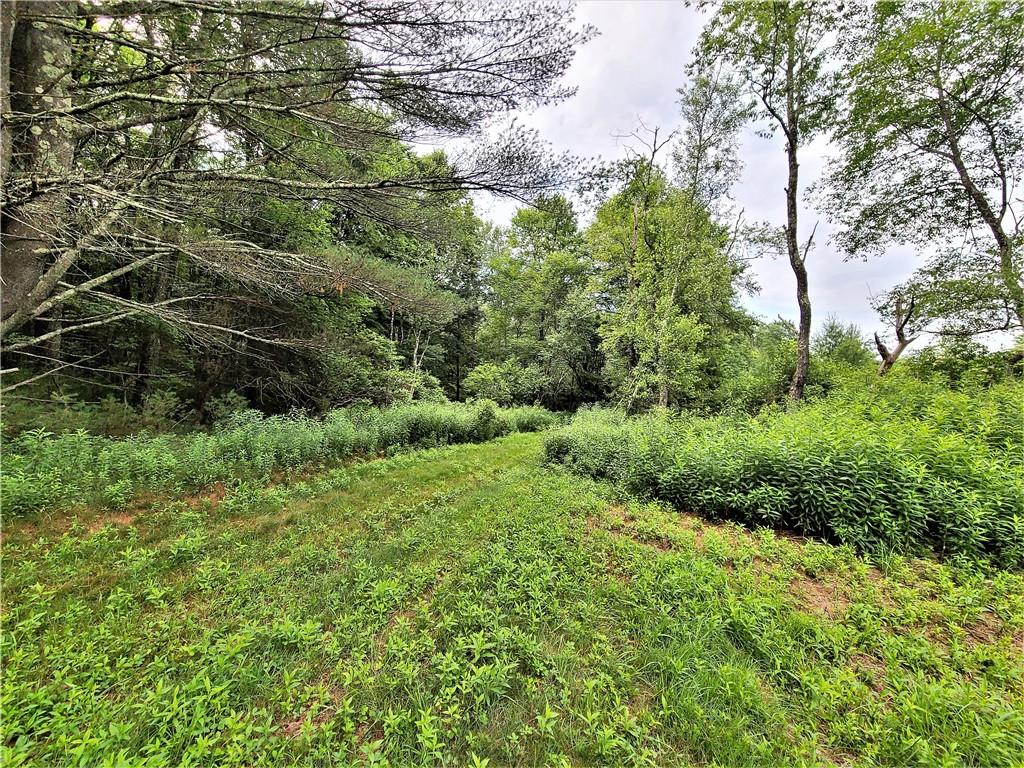 TBD Mitchel Road, White Lake, New York image 15