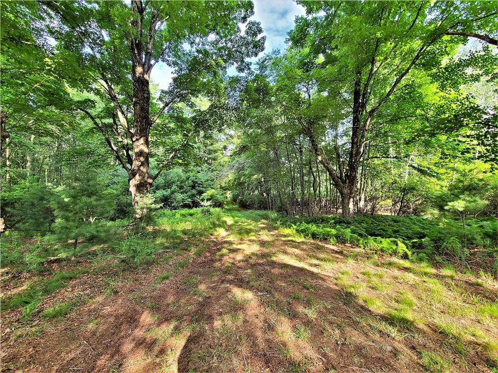 TBD Mitchel Road, White Lake, New York image 6