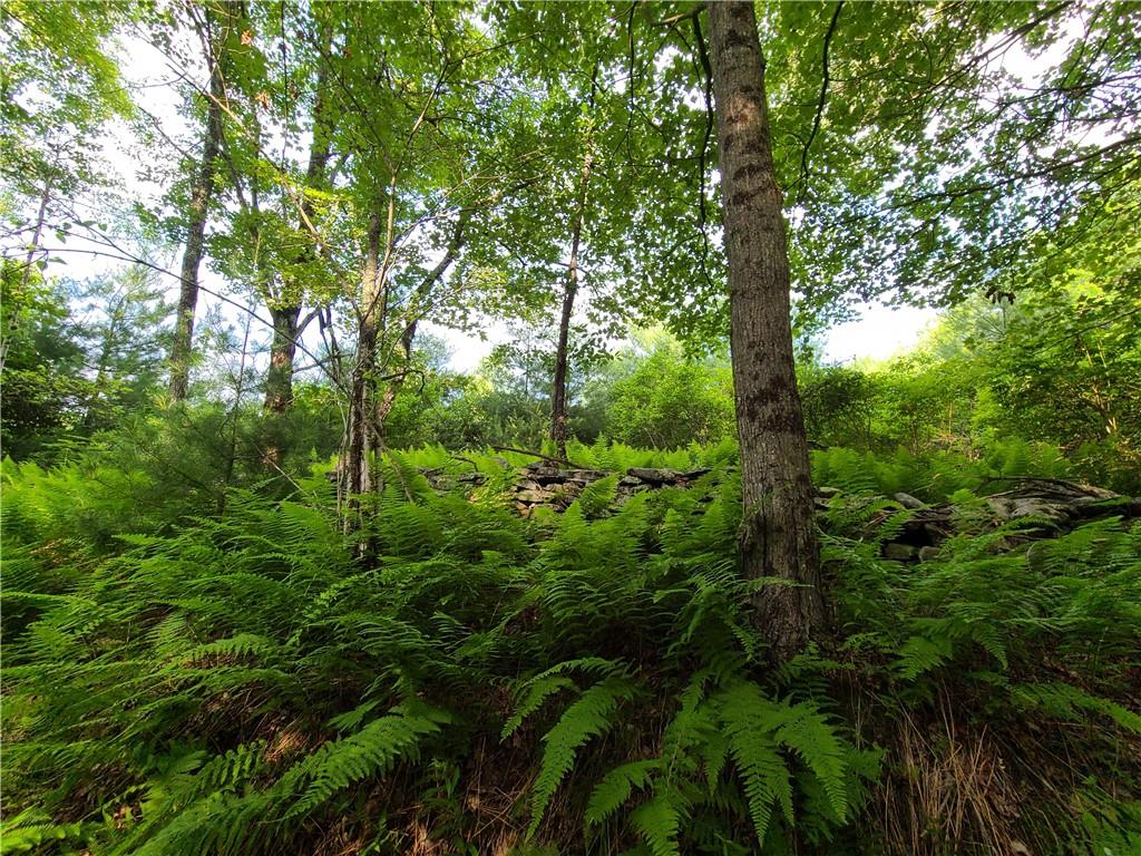 TBD Mitchel Road, White Lake, New York image 23