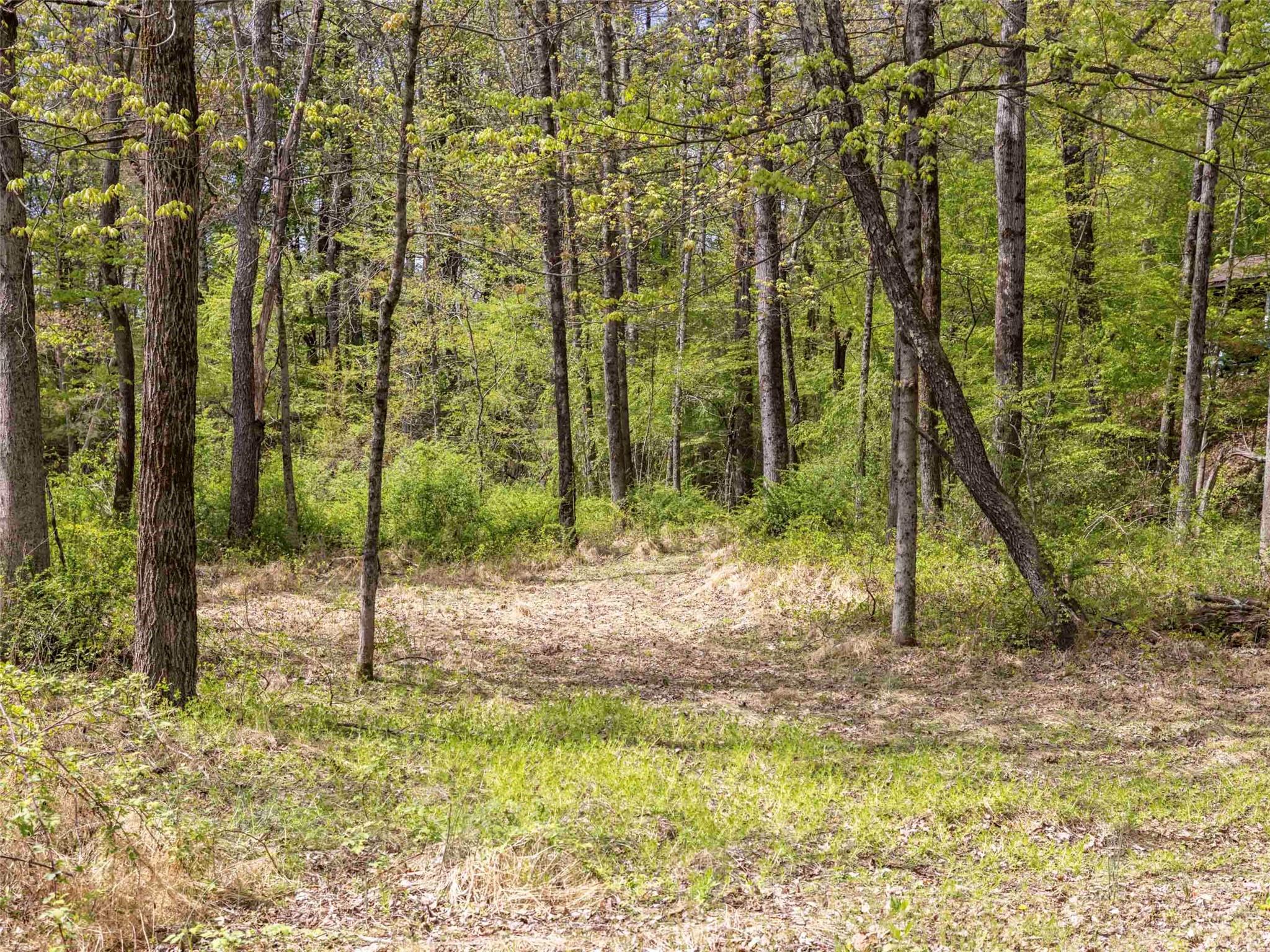 3639 Atwood Road, Stone Ridge, New York image 30