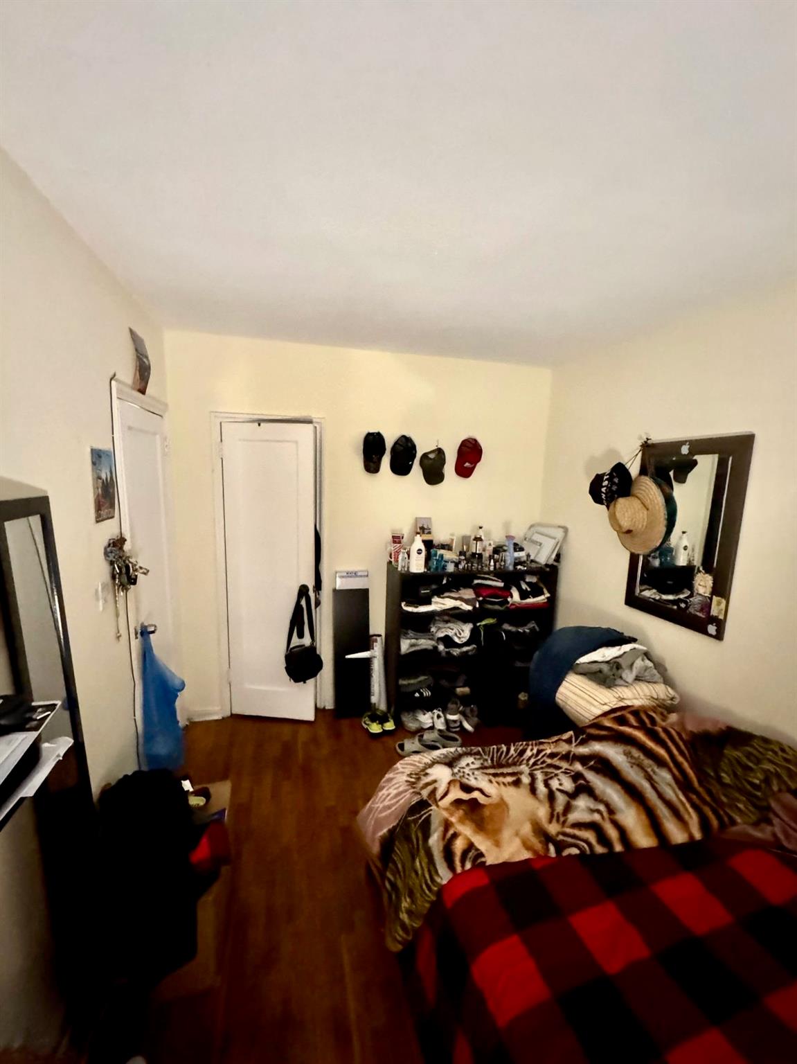 141-24 78th Avenue #2B, Kew Gardens, New York image 5