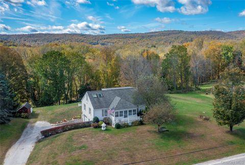 Photo of 63 Hoags Corners Road, Wingdale, NY 12594 (MLS # 987776)