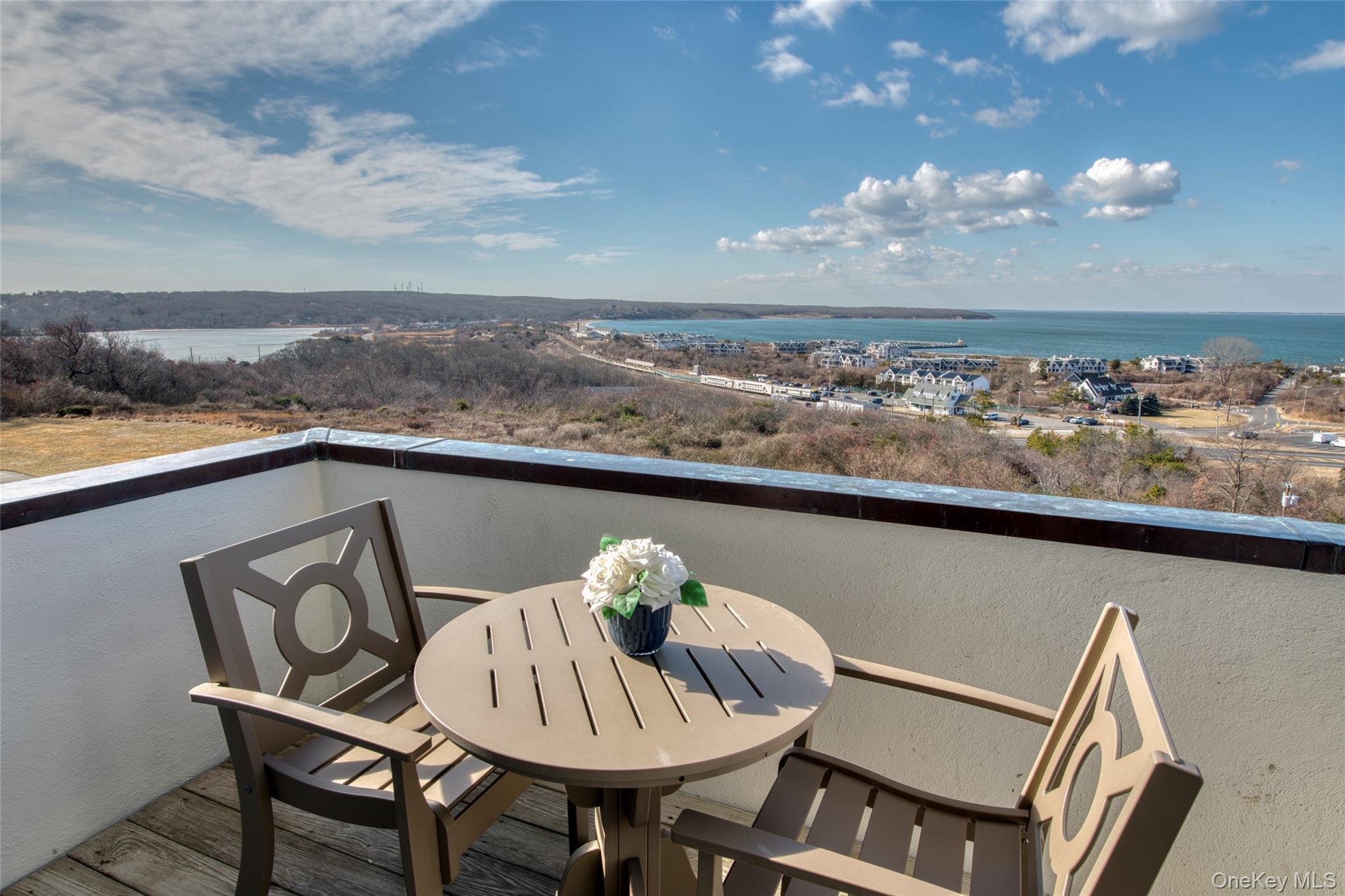 236 Edgemere Street 223