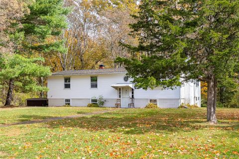 Photo of 82 Lake Road, Pine Plains, NY 12567 (MLS # 924504)