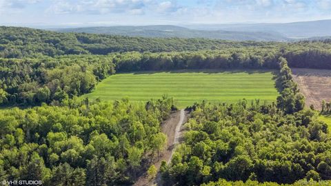 Homes For Sale - Skunks Misery Lot 1 Road<br/> Millerton, NY 12546