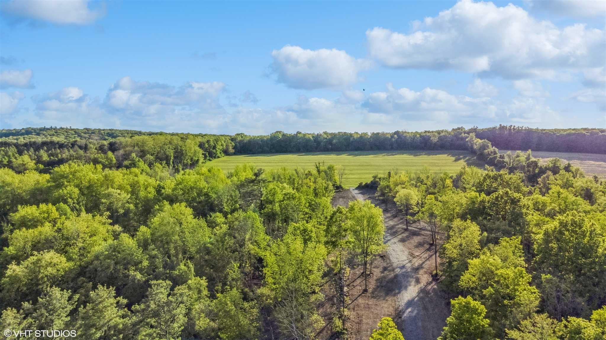 6219 E Skunks Misery Lot 1 Road, Millerton, Florida image 10
