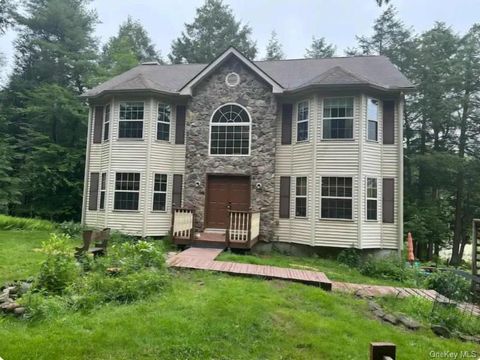 Homes For Sale - 556 Airport Road<br/> Swan Lake, NY 12783