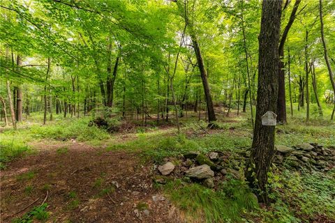 Vacant Land For Sale - Arthursburg Road<br/> Dutchess County, Lagrangeville, NY 12540