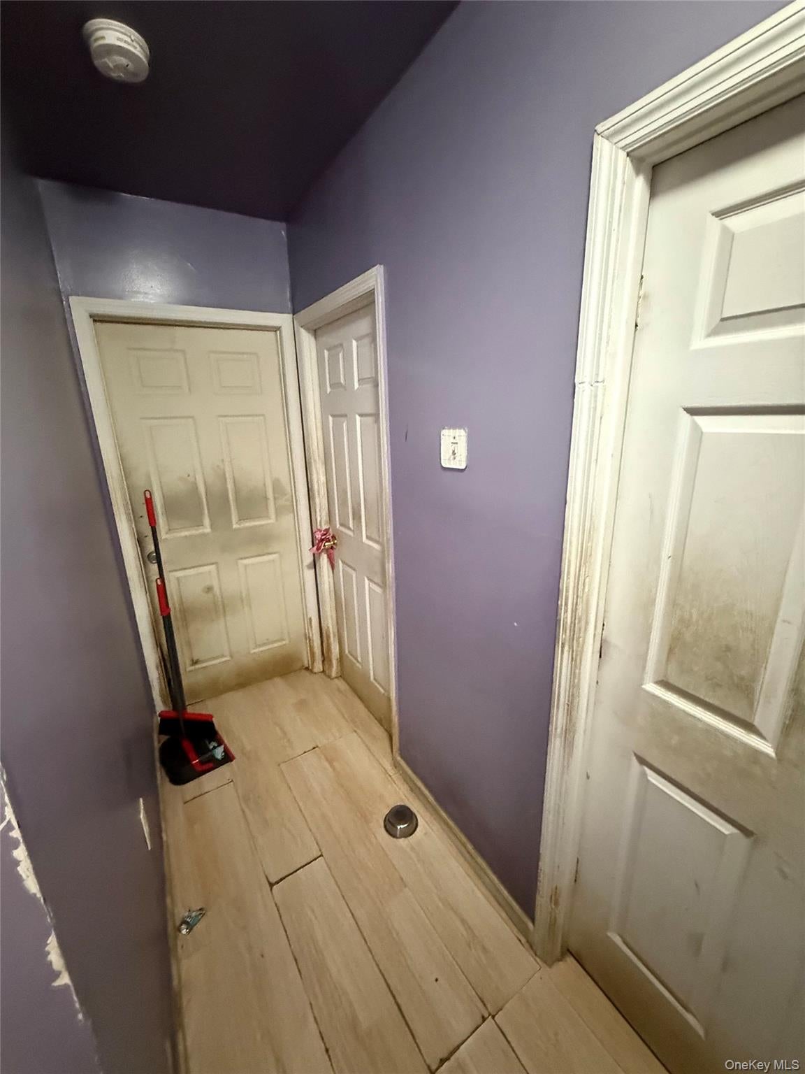 801 E 215th Street - Photo 4
