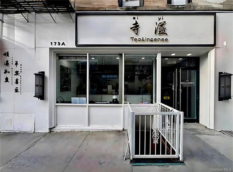 173A Hester Street Storefront New York (Manhattan) NY 10013