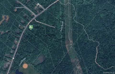 Vacant Land For Sale - 1171 Lakes Road<br/> Monroe, NY 10950