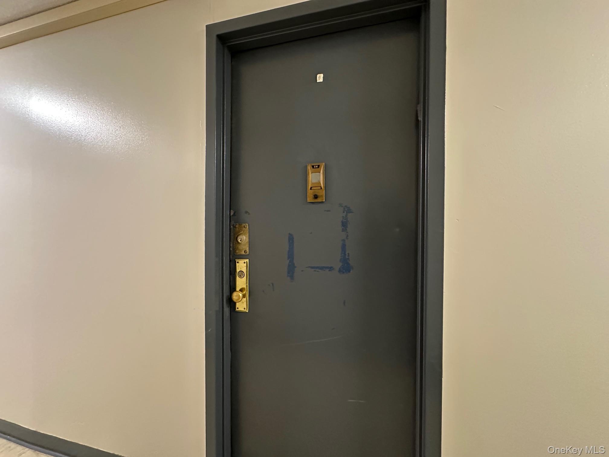 2550 Olinville Avenue 8M