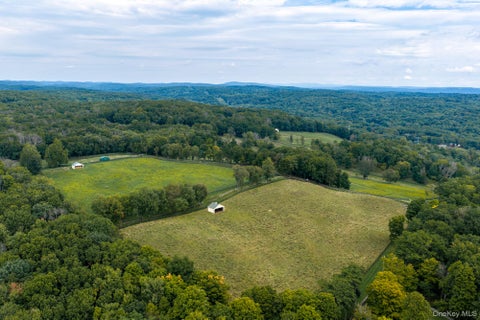 Vacant Land For Sale - Ruskey Lane<br/> Hyde Park, NY 12538