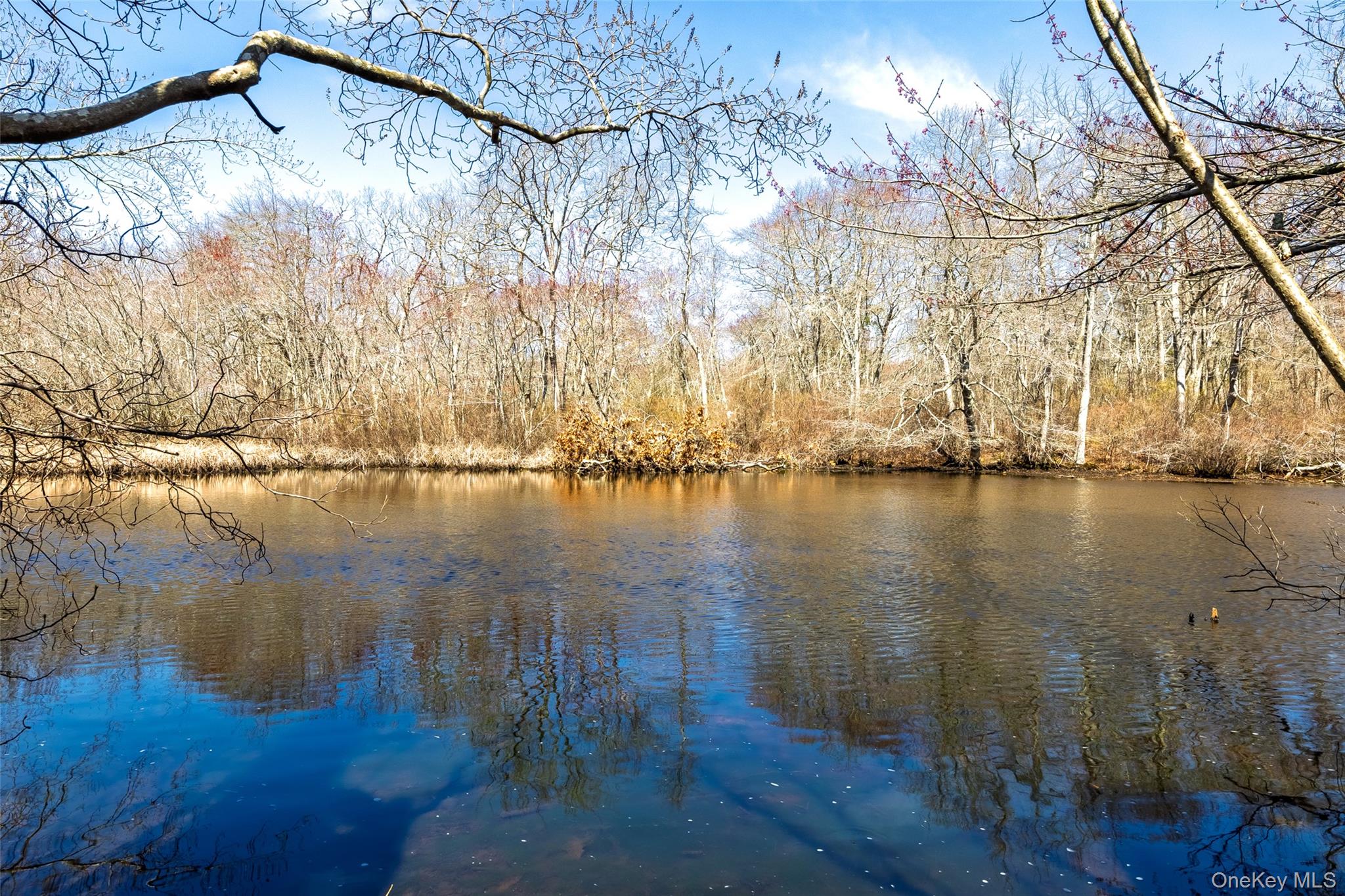 Calverton, New York 11933, United States, 4 Bedrooms Bedrooms, ,2 BathroomsBathrooms,Residential,Active,125640