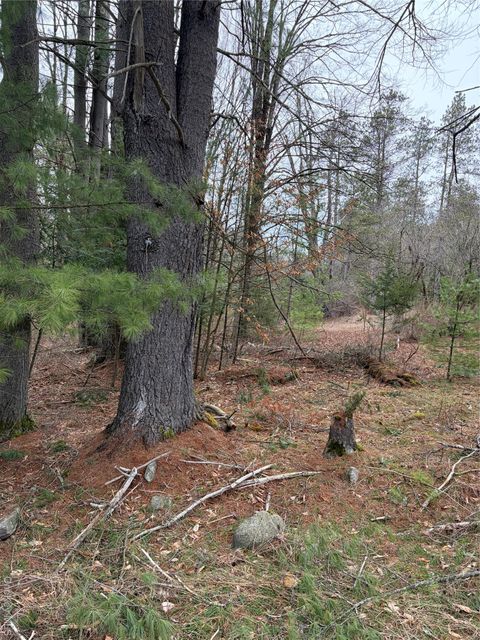 Vacant Land For Sale - 378 Gregory Road<br/> Sullivan County, Monticello, NY 12701