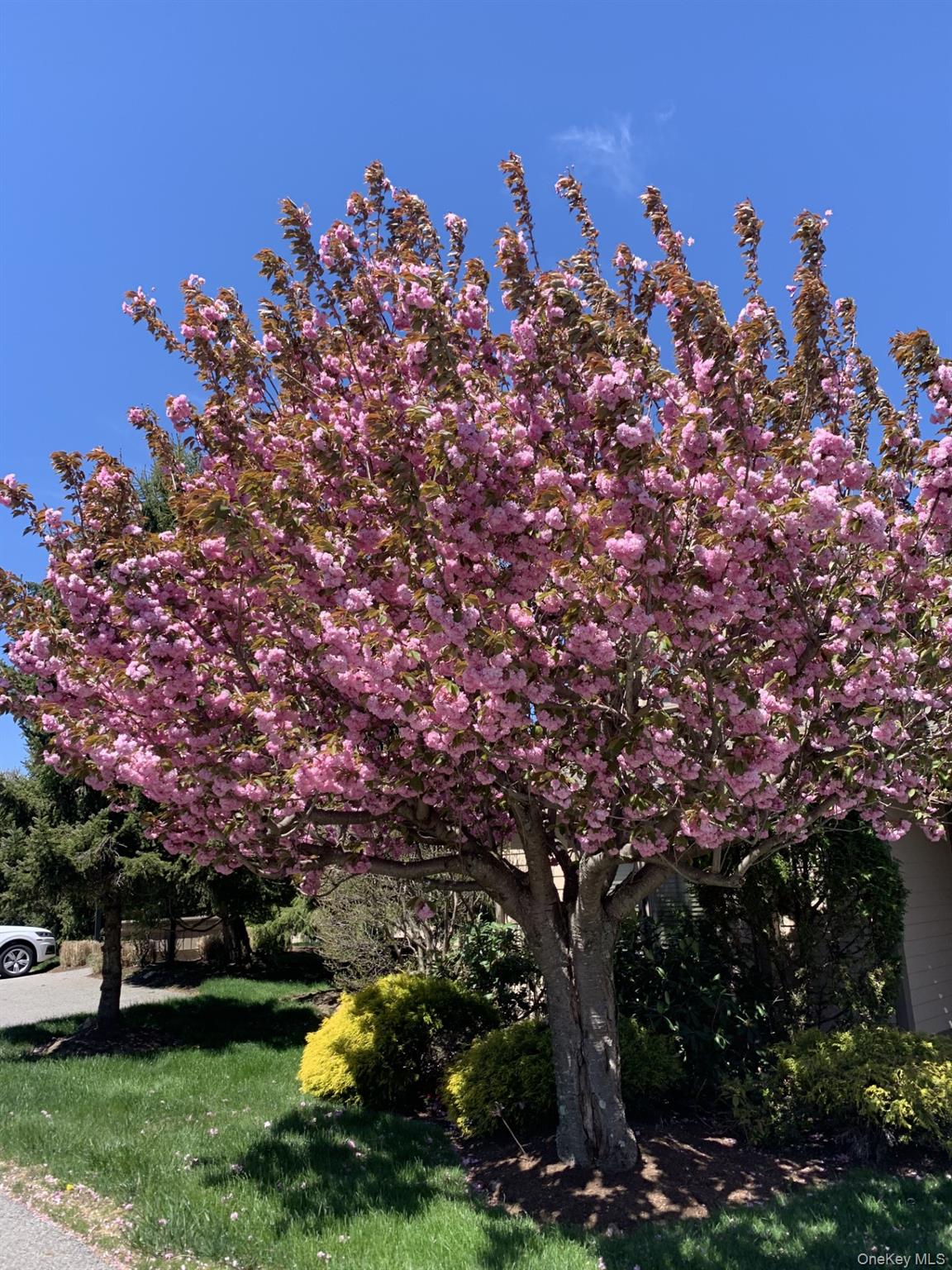 412 Heritage Hills A