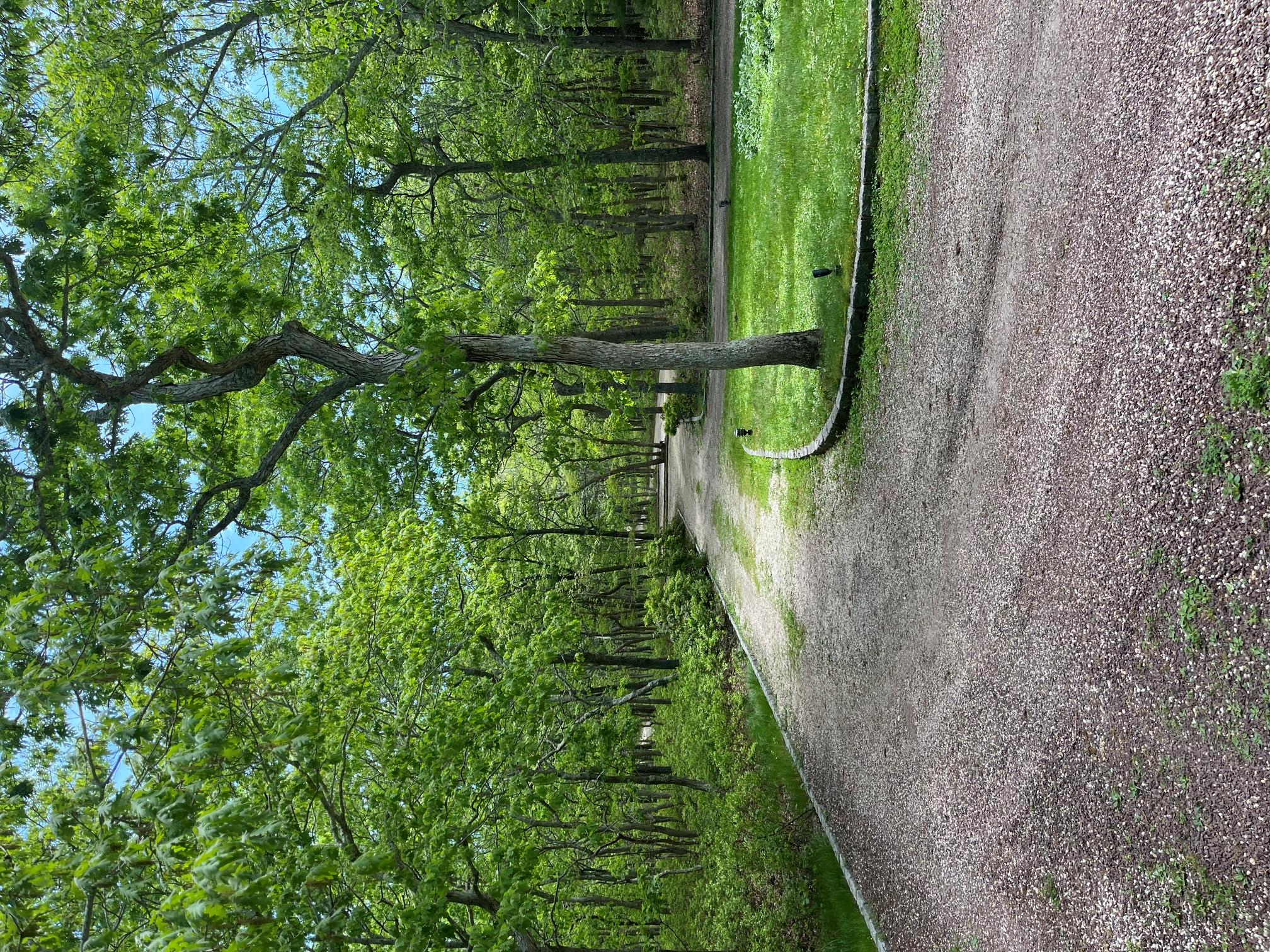 86 Northwest Path