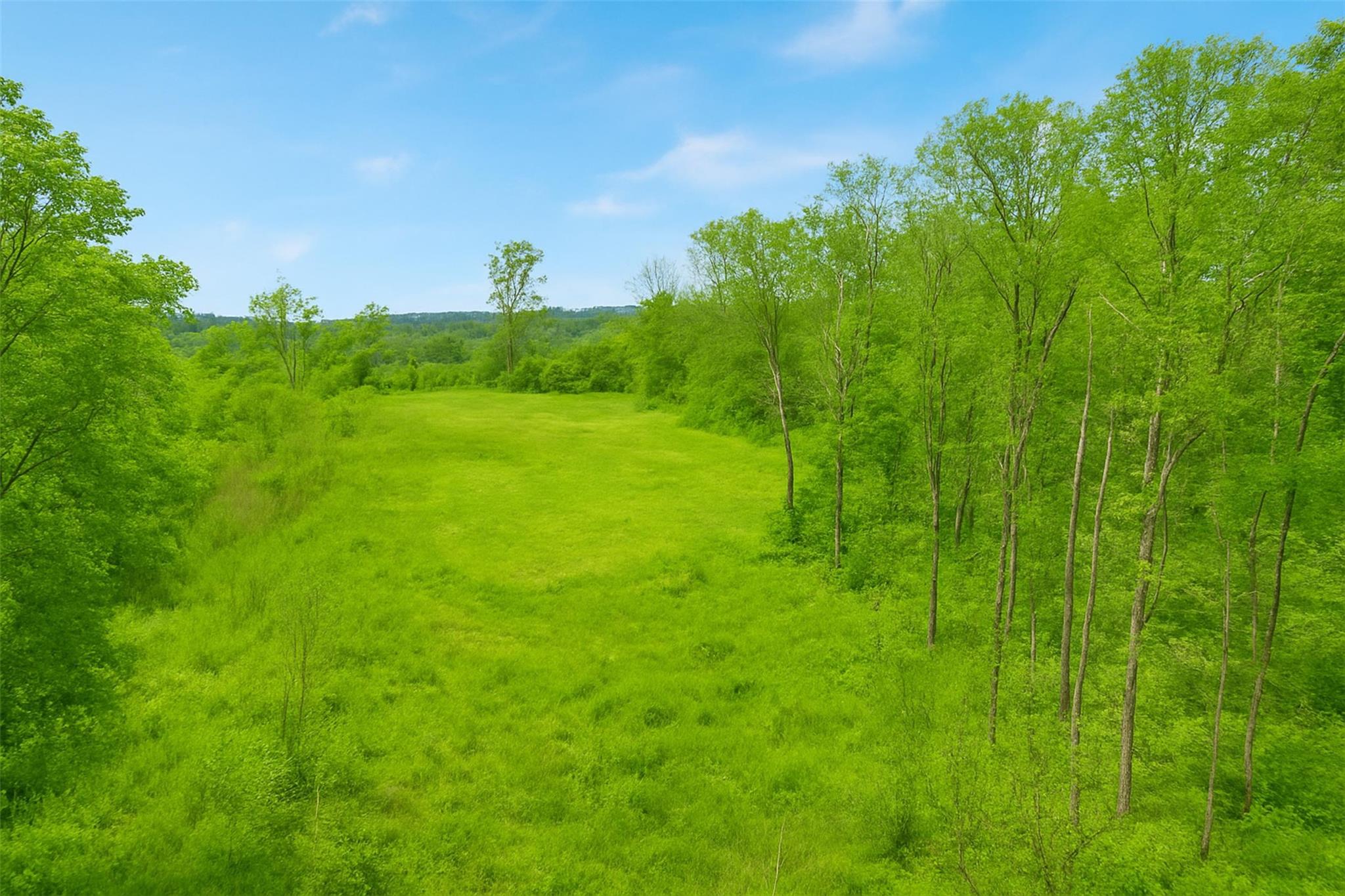 Mill Road, Millerton, New York image 9