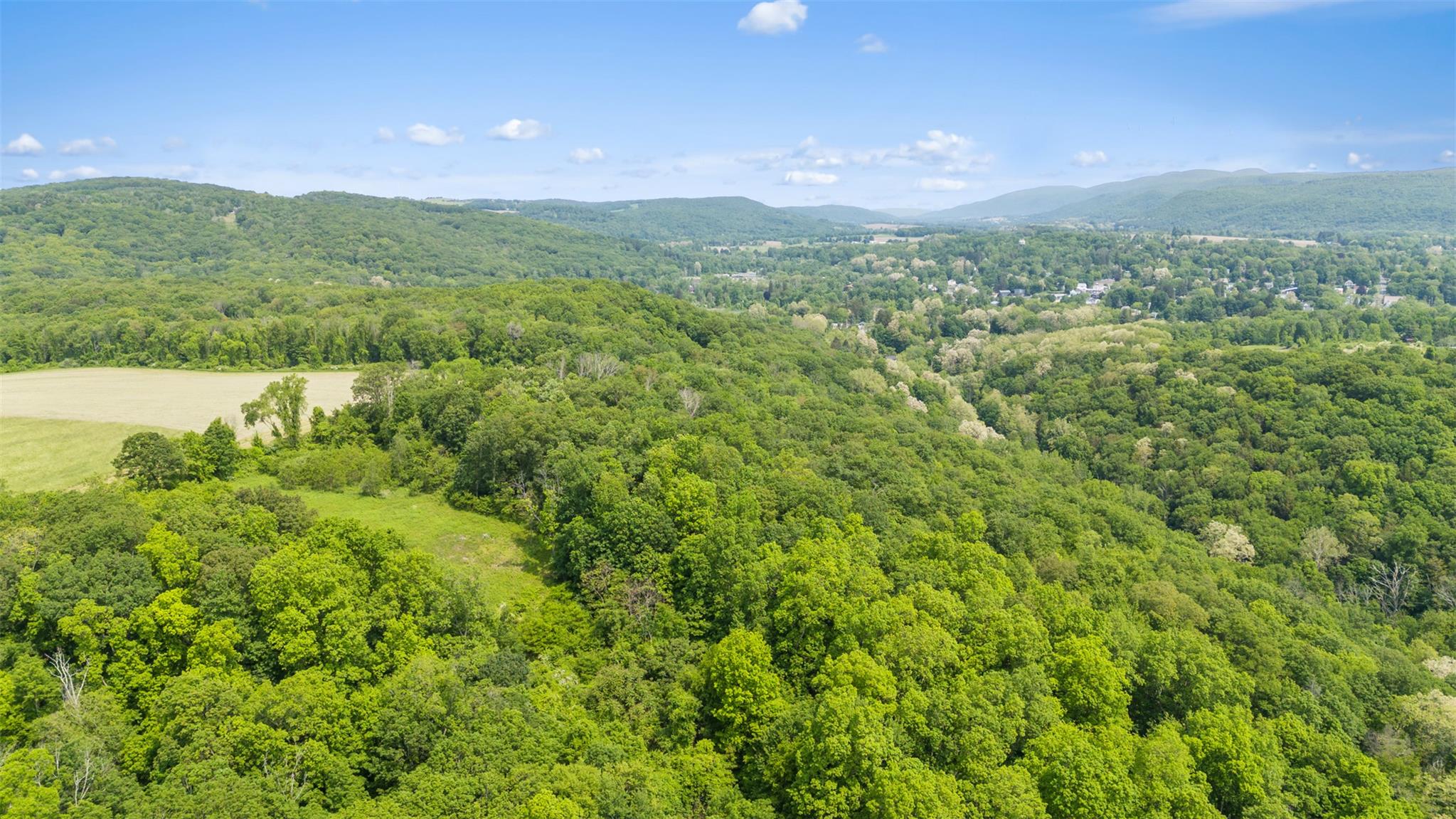 Mill Road, Millerton, New York image 3