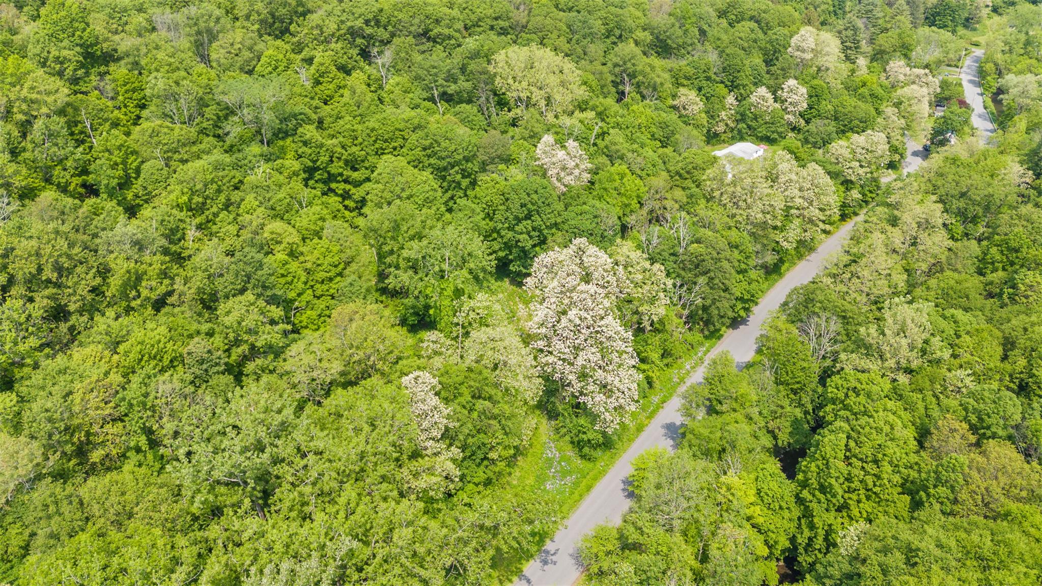 Mill Road, Millerton, New York image 6
