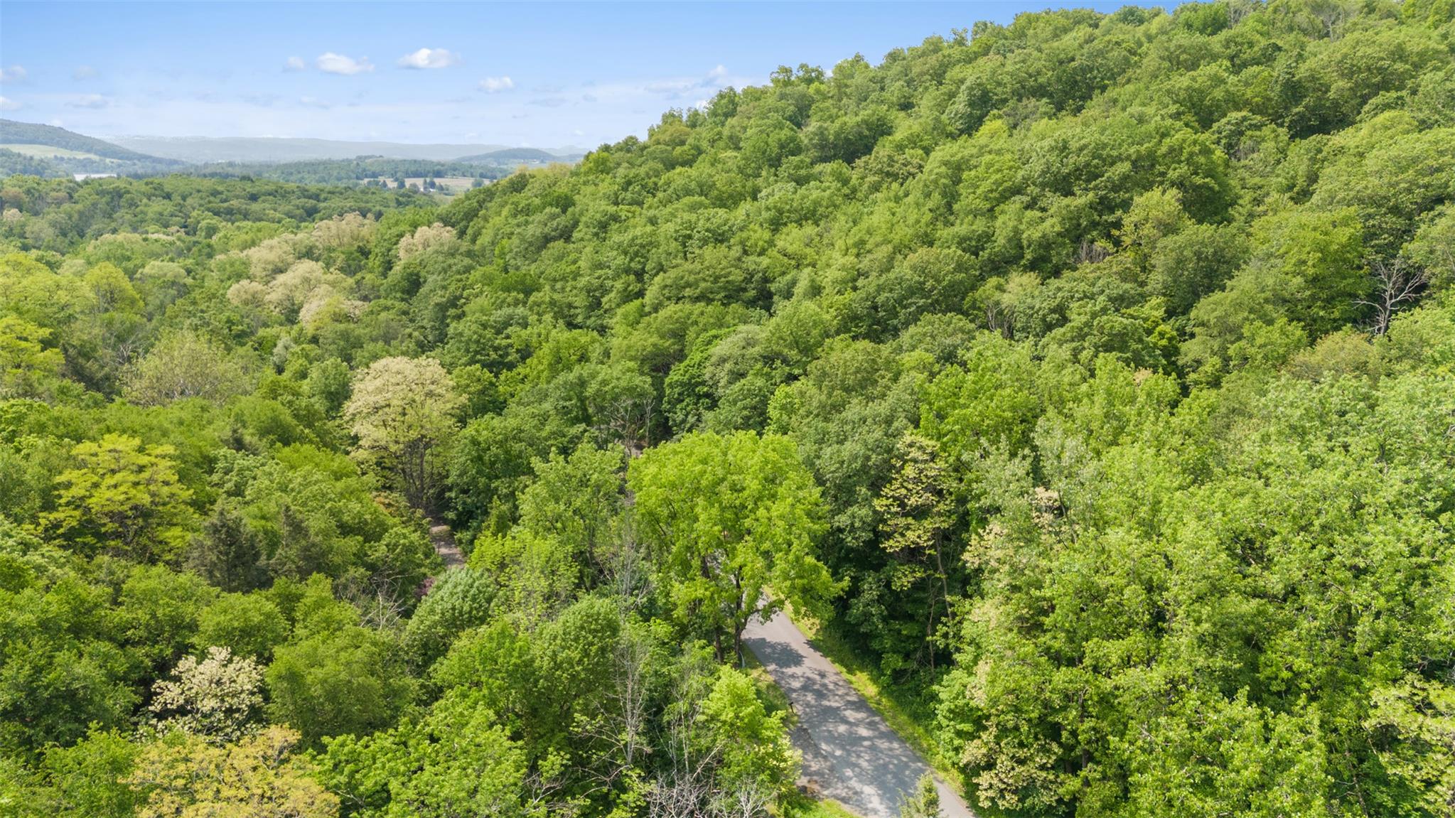 Mill Road, Millerton, New York image 5