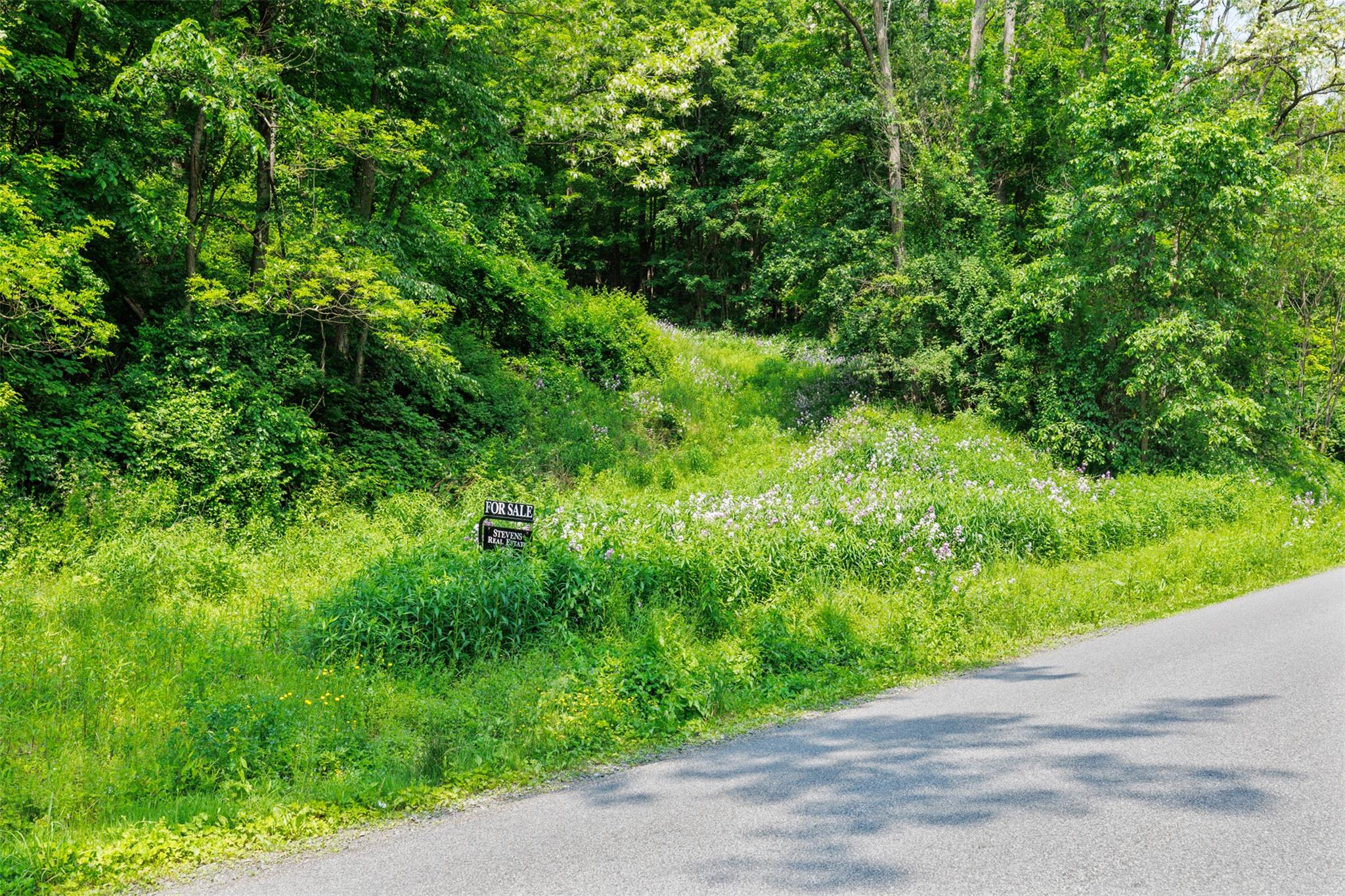 Mill Road, Millerton, New York image 7