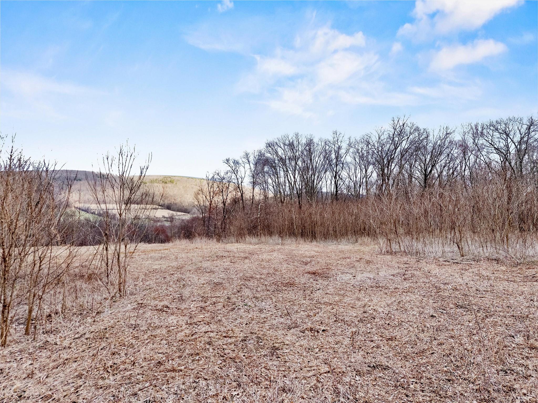 Mill Road, Millerton, New York image 3