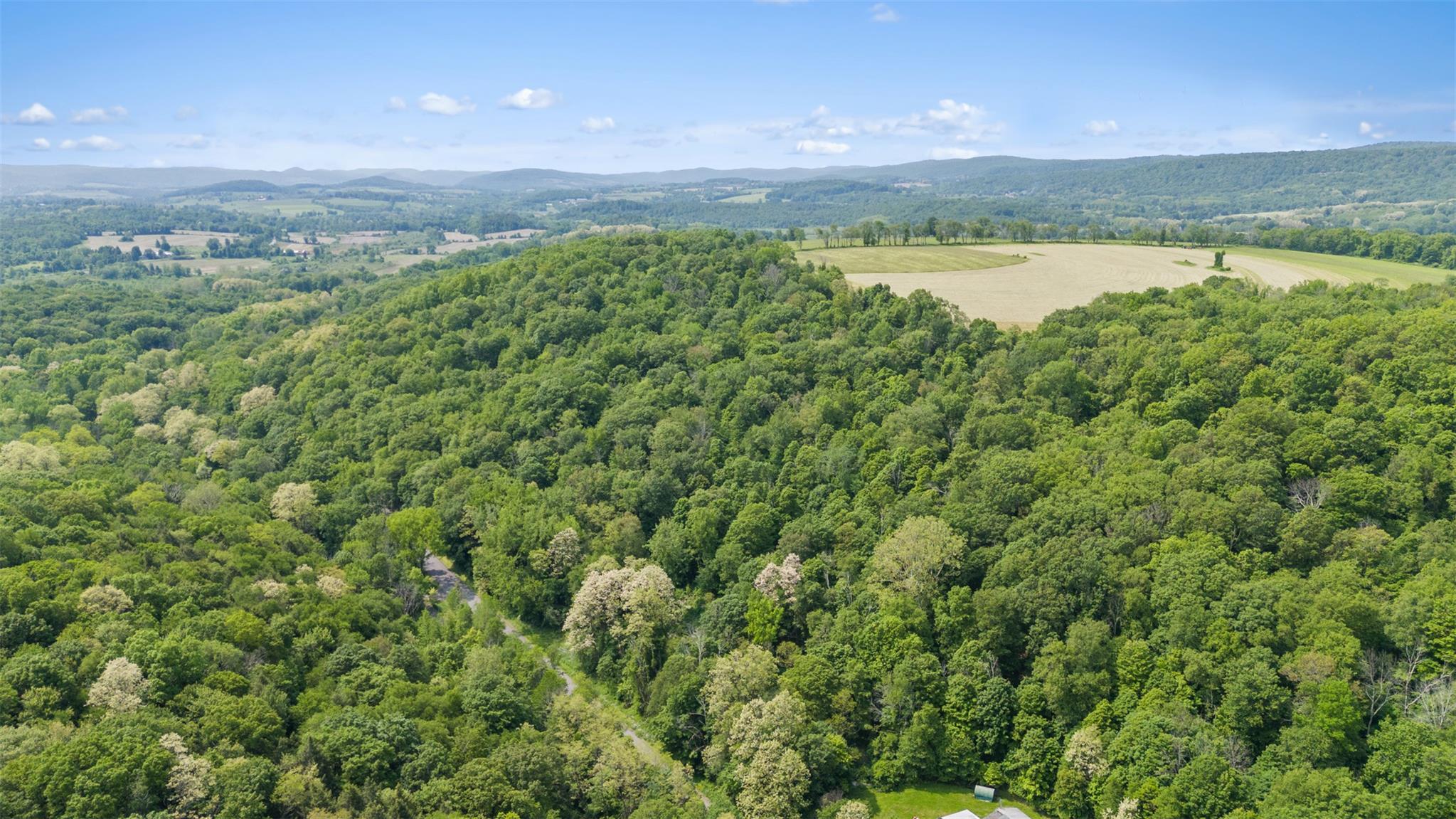 Mill Road, Millerton, New York image 4