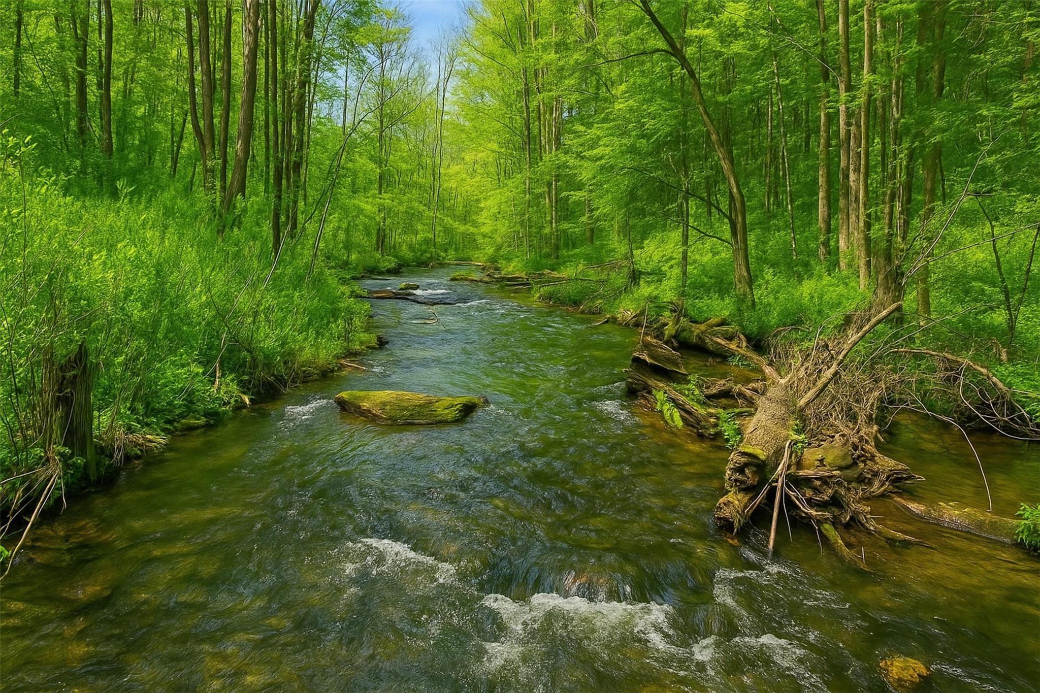Mill Road, Millerton, New York image 10
