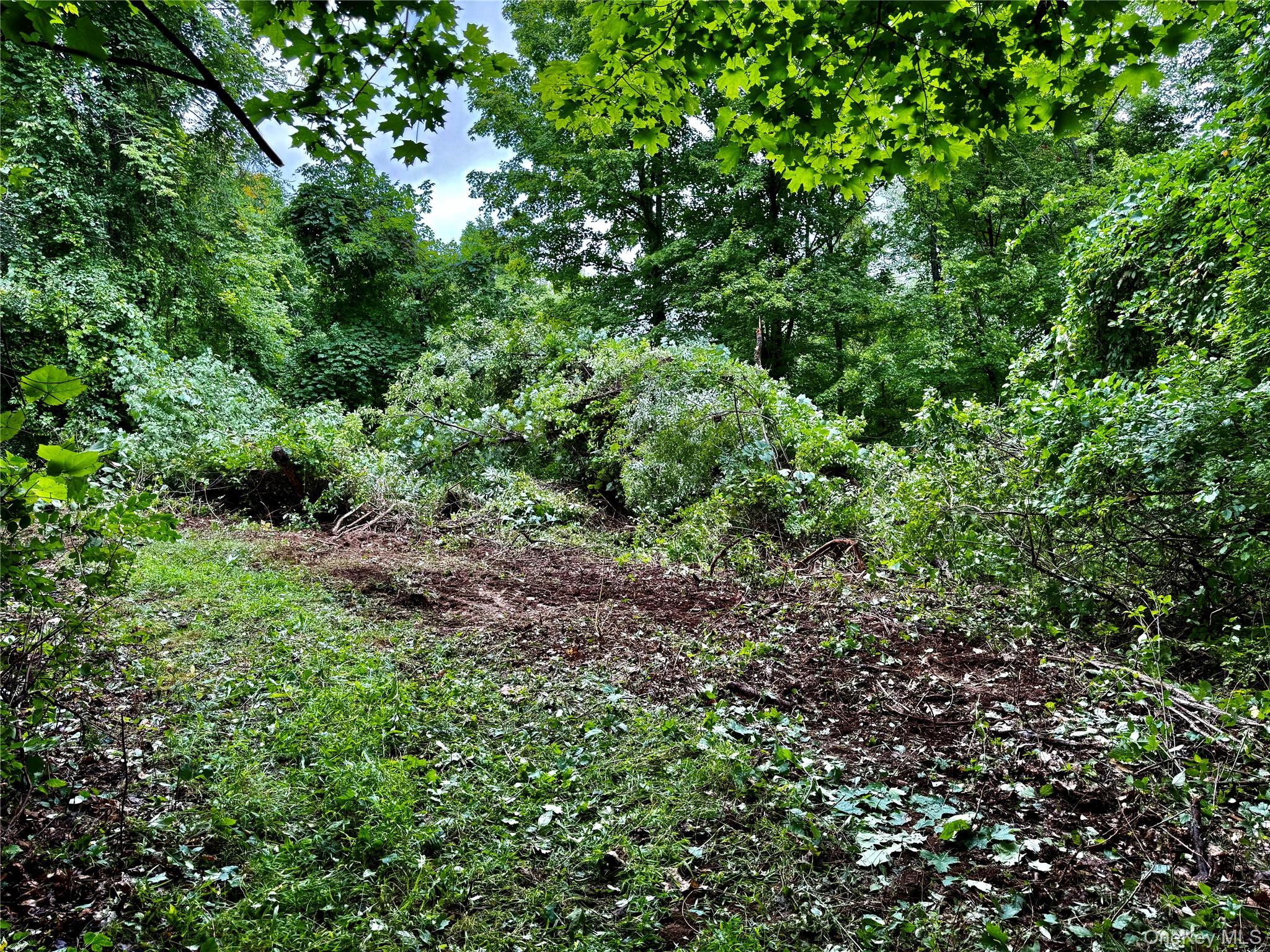 150 Weaver Road