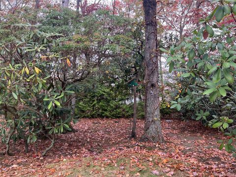 Vacant Land For Sale - LOT 16 Fox Hunt Lane<br/> Yaphank, NY 11980