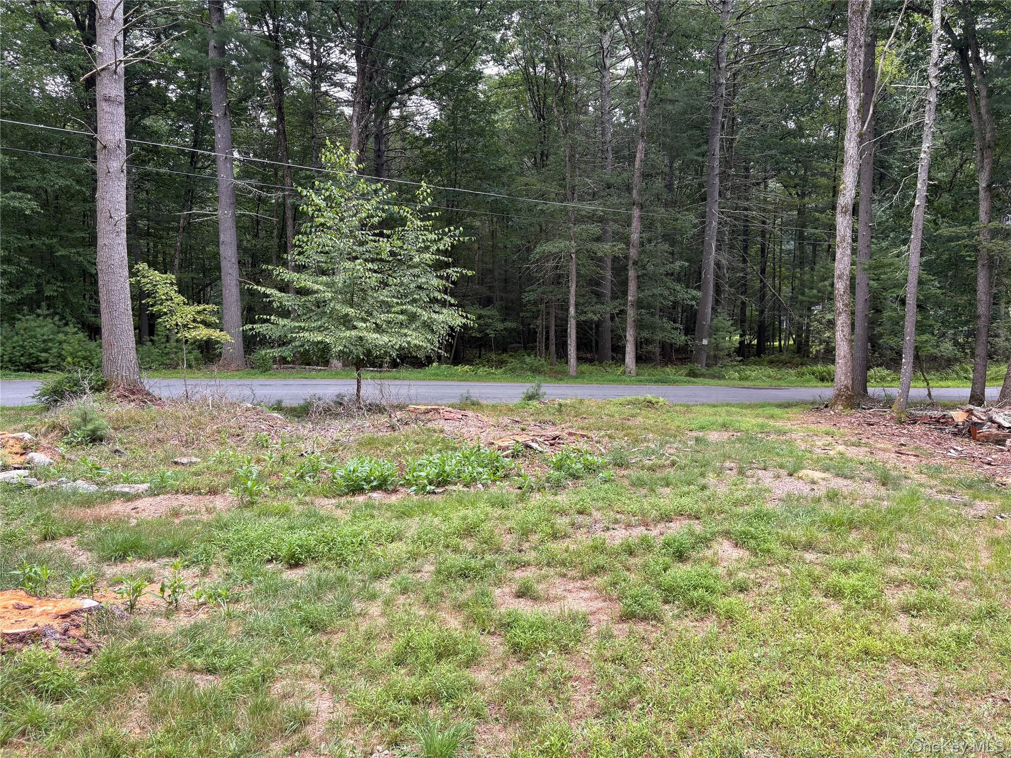 23 Kern Road