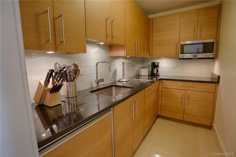 1 Renaissance Square 8C White Plains NY 10601